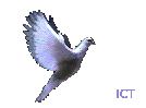 Image: Dove of Peace
